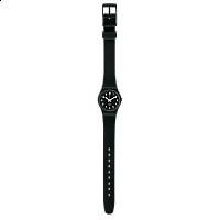 Swatch ORIGINAL LB170E