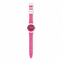 Swatch ORIGINAL GW713