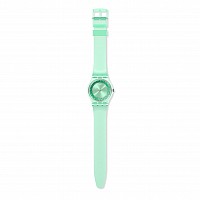 Swatch ORIGINAL GG225