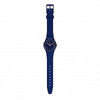 Swatch ORIGINAL GN416