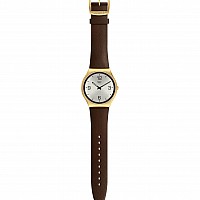 Swatch SKIN IRONY SS07G100