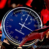 MeisterSinger Singular MM402G