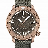 Sinn T50 Goldbronze