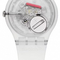 Swatch SO29Z145