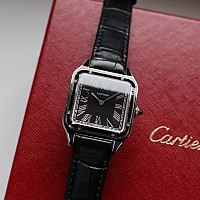 Cartier Santos-Dumont WSSA0046 KOMISE 420250012