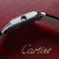 Cartier Santos-Dumont WSSA0046 KOMISE 420250012